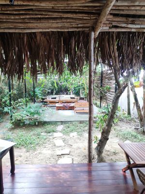  at PlantLab in Hoi An