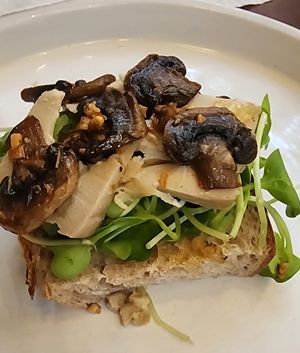  at PlantLab in Hoi An