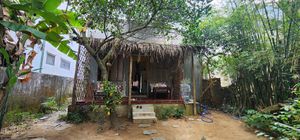  at PlantLab in Hoi An