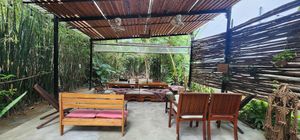  at PlantLab in Hoi An