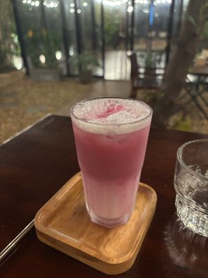 Rose latte at PlantLab in Hoi An