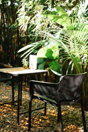 at PlantLab in Hoi An