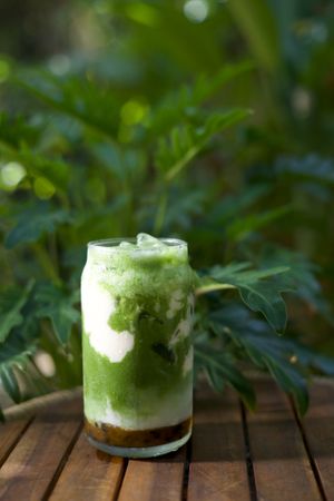  at PlantLab in Hoi An