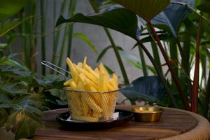  at PlantLab in Hoi An
