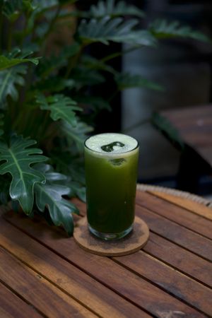  at PlantLab in Hoi An
