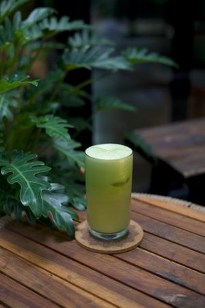  at PlantLab in Hoi An