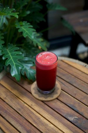  at PlantLab in Hoi An