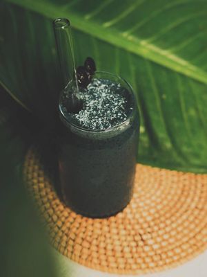  at PlantLab in Hoi An