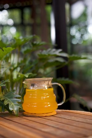  at PlantLab in Hoi An