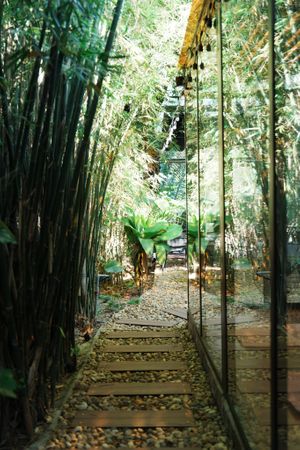  at PlantLab in Hoi An