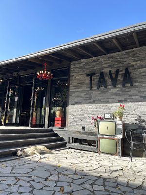 Entrance and chilling doggo  at Tava  in Dilijan