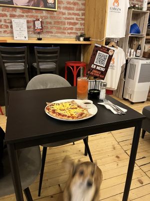   at Corgi's Cafe in Sofia