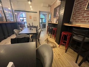   at Corgi's Cafe in Sofia