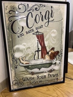   at Corgi's Cafe in Sofia