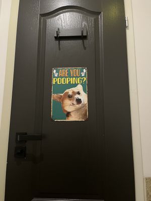   at Corgi's Cafe in Sofia