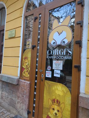 Outside at Corgi's Cafe in Sofia