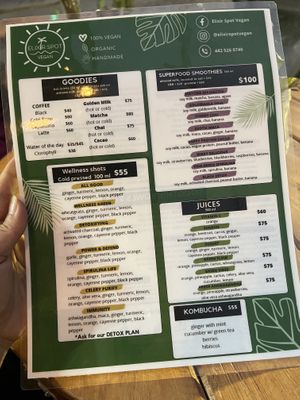   at Elixir Spot - Centro - temporarily closed in Puerto Vallarta