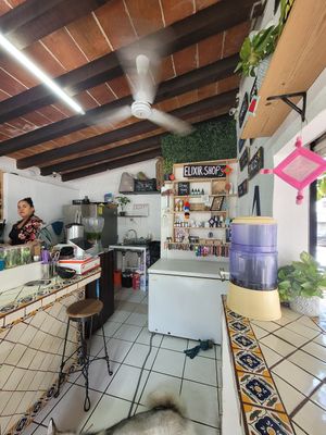  at Elixir Spot - Centro - temporarily closed in Puerto Vallarta