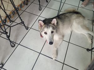  at Elixir Spot - Centro - temporarily closed in Puerto Vallarta