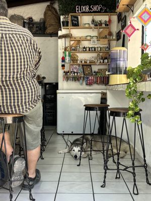   at Elixir Spot - Centro - temporarily closed in Puerto Vallarta