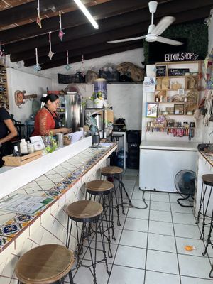 Amazing   at Elixir Spot - Centro - temporarily closed in Puerto Vallarta