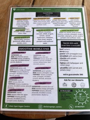   at Elixir Spot - Centro - temporarily closed in Puerto Vallarta