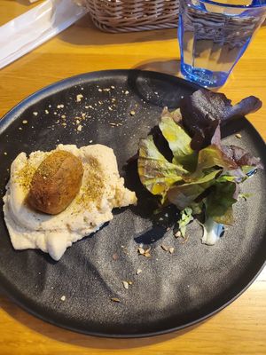 Falafel & Hummus at Tempu Terrace in Wakayama