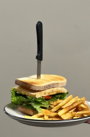 Mojo tofu vegan sandwich  at Morningstar Cafe in Toms River