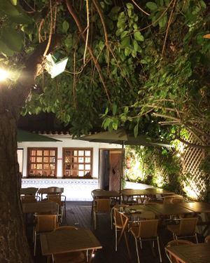 Courtyard at Terra Restaurante Natural in Lisbon