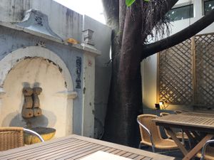 Outside space  at Terra Restaurante Natural in Lisbon