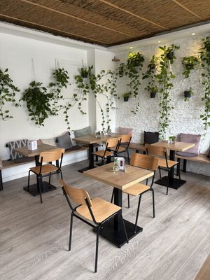   at superplanty in Zagreb