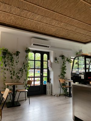  at superplanty in Zagreb