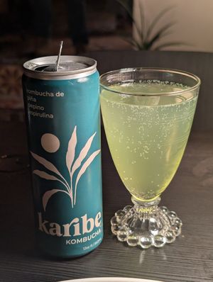 Kombucha at Aliado Bar & Aperitivo in San Juan