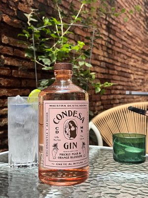 visit us for a gin & tonic. made in Mexico by Mexican women.  at Aliado Bar & Aperitivo in San Juan