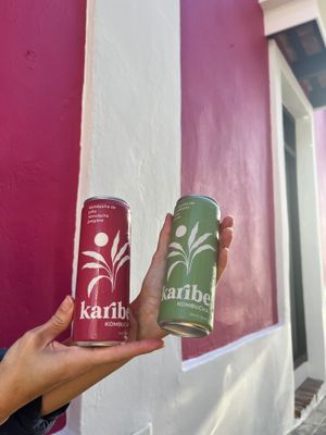 local kombucha from Rincón at Aliado Bar & Aperitivo in San Juan
