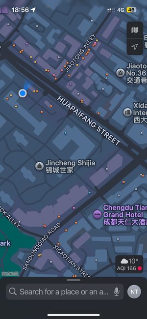   at Les Amores in Chengdu