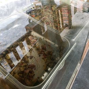 Buffet selection  at Rasa Raj108 Vegan in Abiansemal