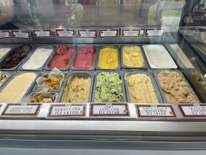So many sorbets   at Numi Ice Cream in Palm Cove