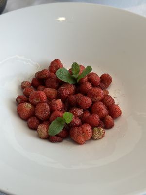 Wild strawberries   at Marixx in Ventimiglia