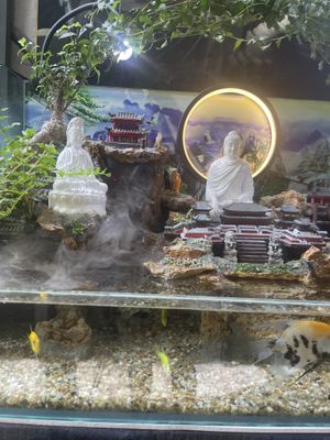 Inside   at Chân Thiện Mỹ - Ẩm Thực Thuần Chay in Ho Chi Minh City