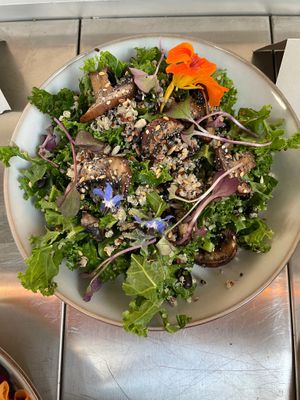 Kale and tricolour quinoa salad with mushrooms and seeds, with edible flowers at Almanac Cafe in Plymouth