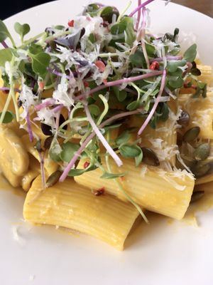 Seasonal special cheesy pumpkin rigatoni: topped with microgreens   at Soombida - 숨비다 in Jeju