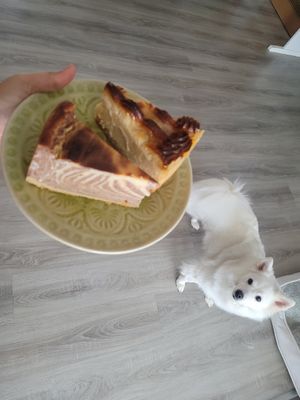 Käse-Schoko-Torte, Apfeltorte mit Marzipandecke #Veganuary at Sputendorfer Begegnungscafe in Stahnsdorf