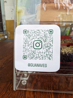 Instagram account at GuanaVeg in Guanajuato