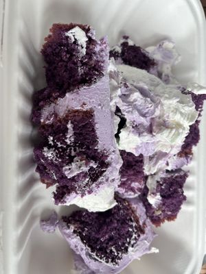   at Hamilton Rose in Laval