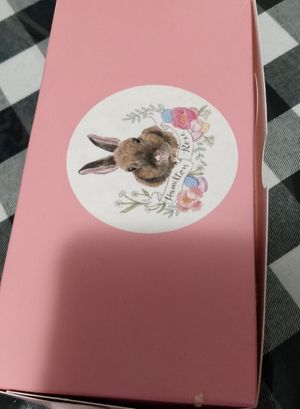  at Hamilton Rose in Laval