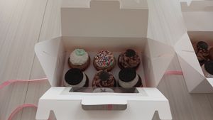  at Hamilton Rose in Laval