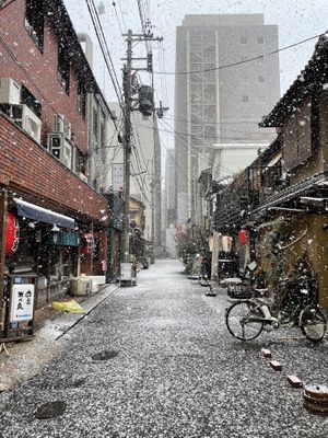 Cole day   at Breakfast Udon - 朝うどん in Kyoto