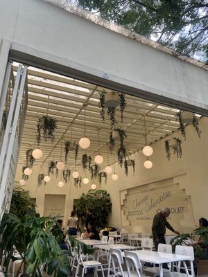 Cute Patio Area (They Were Taking Photos for Marketing Materials)  at Churrería El Moro - Coyoacán in Mexico City