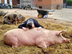 #Veganuary at GöfAR - Göttingen for Animal Rights in Gottingen